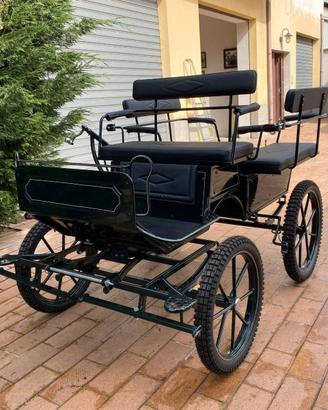 Carrozza mod Wagonette per mezzo cavallo (021)