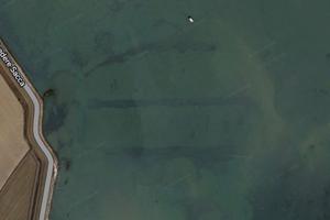 Specchio acqueo/ vivaio vongole