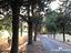 Immagine 27