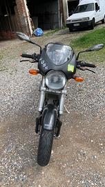 Monster S2R 800 Dark