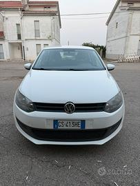 polo 2014