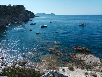 monolocale vista mare 