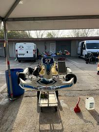 Go kart Rotax Birel Ricciardo