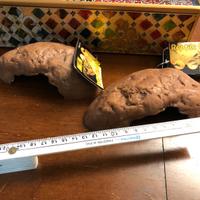 Tane per rettili Exo Terra NUOVE