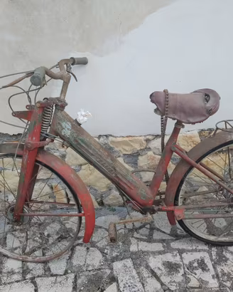 MOTORINO ZANZI PIVIERE