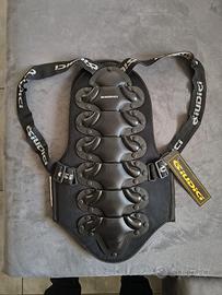 Paraschiena moto Giudici