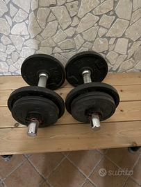 Manubri 10 kg