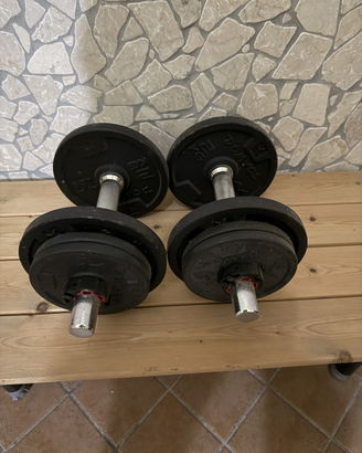 Manubri 10 kg