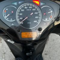 Sh 300 sport