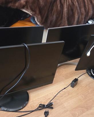 4 monitors ufficio, Lenovo, LG, Samsung da 24 e 27