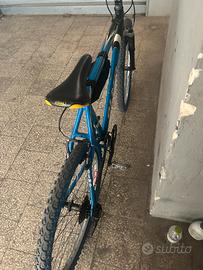 MTB OLMO