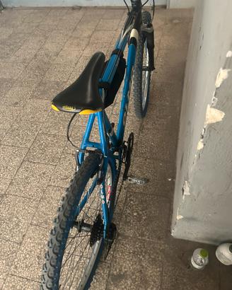 MTB OLMO