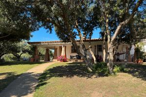 Villa immersa nel verde