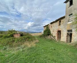 Azienda agricola di 22 Ha con porzione di casale