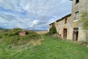 Azienda agricola di 22 Ha con porzione di casale