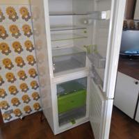 FRIGORIFERO COMBINATO IGNIS