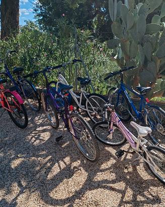 biciclette usate 