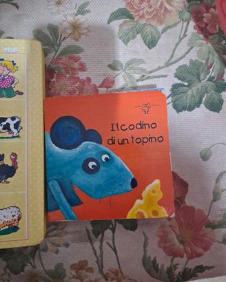 Libri cartonati
