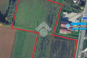 TER. AGRICOLO A ISTRANA