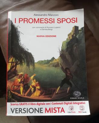 libro I promessi Sposi 