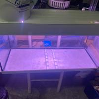 Acquario dubai 80 190 litri impianto co2