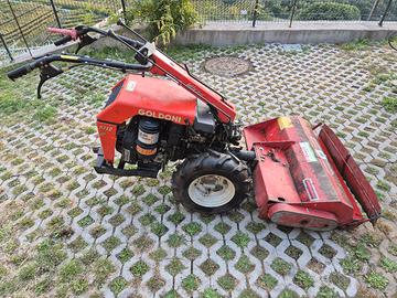 Motocoltivatore Goldoni Jolly Prof 63 con trincia