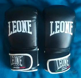 Guantoni Leone Boxe Flash 10oz