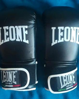 Guantoni Leone Boxe Flash 10oz