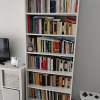 Libreria Billy Ikea  Acquistata da tre mesi Nuovis