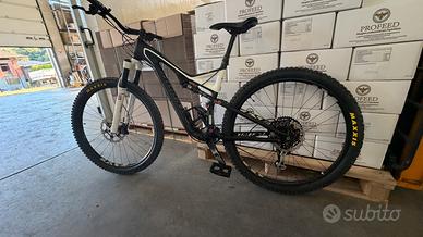 Specialized Stumpjumper Carbon  Mtb