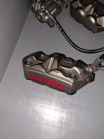 Pinze freno Brembo 