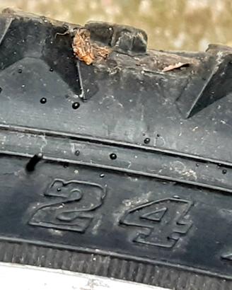 Mountain bike bambino