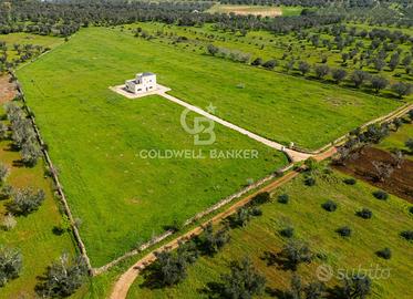 Masseria - San Pancrazio Salentino