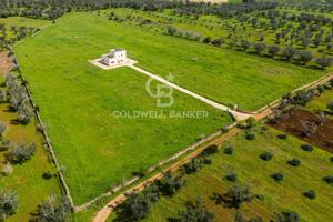 Masseria - San Pancrazio Salentino