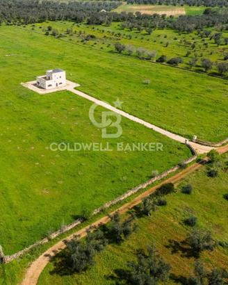 Masseria - San Pancrazio Salentino