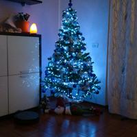 albero di natale completo e luci