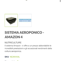 Aeroponico