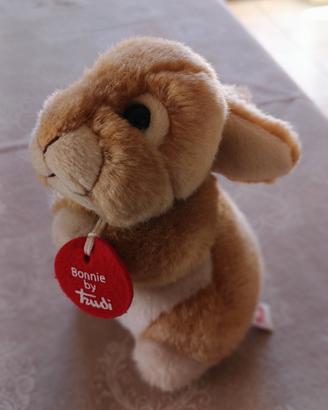 coniglio trudi