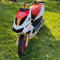 Scooter cross