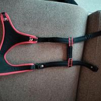 Collare x cane taglia piccola 10kg