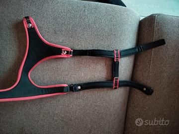 Collare x cane taglia piccola 10kg