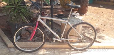 Bicicletta  bianchi  carbon steel