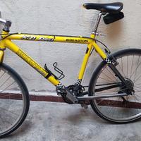 Mountain Bike XC Pro