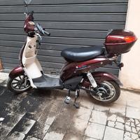 bicicletta elettrica