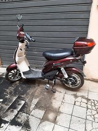 bicicletta elettrica