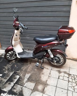 bicicletta elettrica