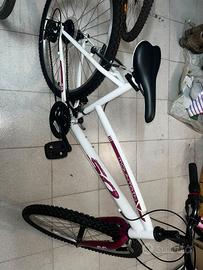 Mountain bike