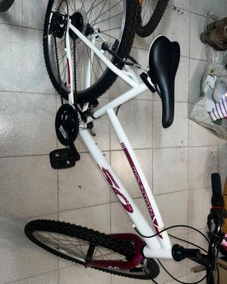 Mountain bike
