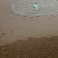 jacco rezzaglio sparviero 12 metri