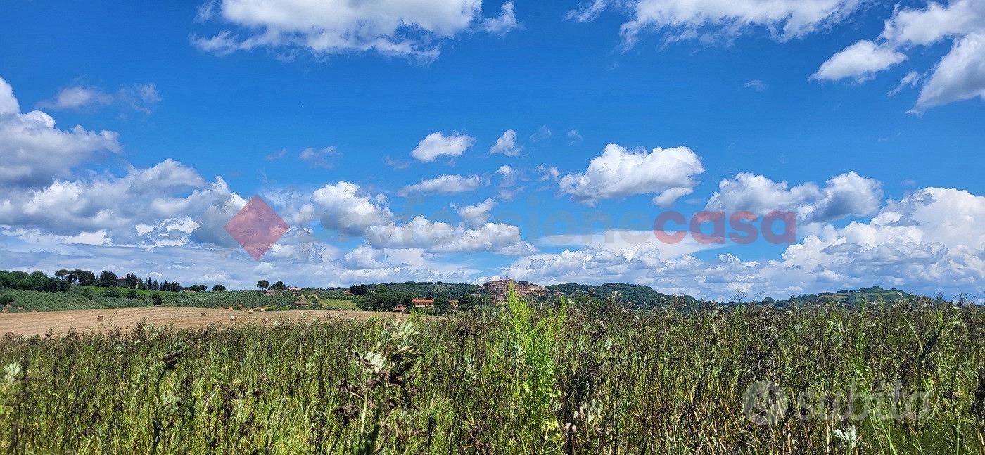 Terreno Agricolo Bibbona [TA-06VCG] - Vista 4
